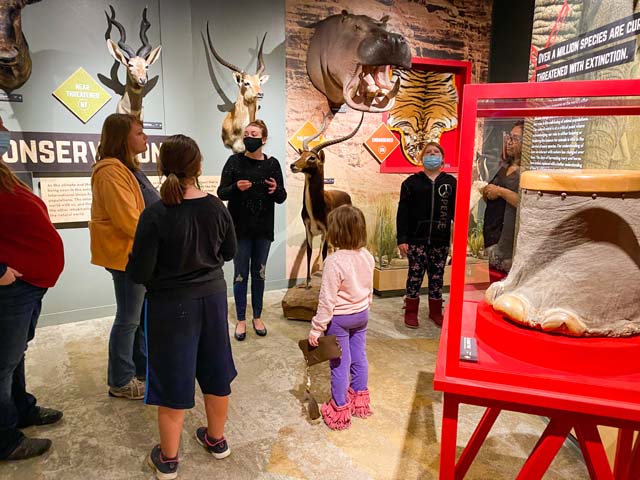Red River Valley Museum